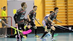 Mehrmaliger Schwedischer Meister zeigt seine Klasse Mehrmaliger Schwedischer Meister zeigt seine Klasse